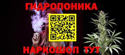ALPHA PVP Ачхой-Мартан