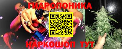 ALPHA PVP Ачхой-Мартан