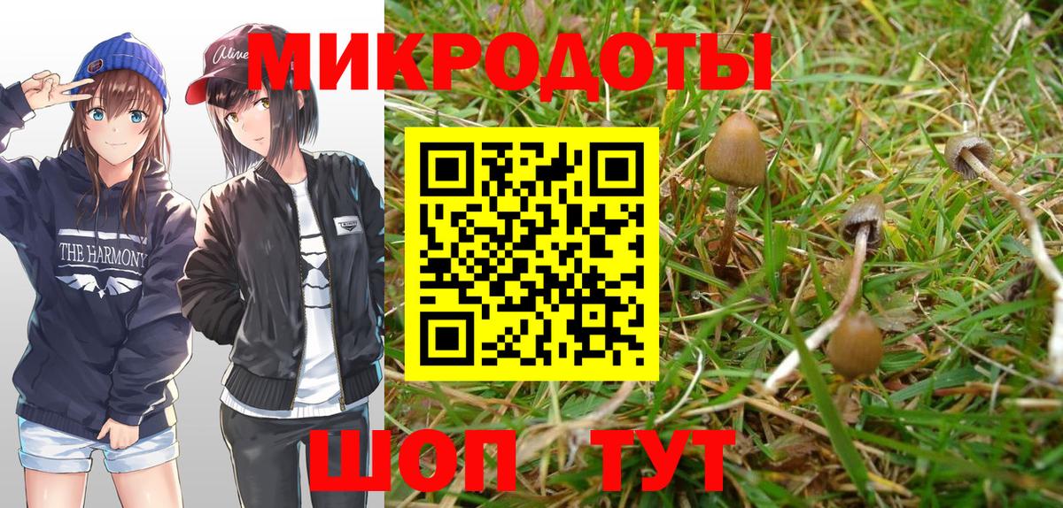 Конопля  ГАШИШ  Вязники  КОКАИН  A PVP СОЛЬ кристаллы  МЕФ   Где найти наркотики?  Вход с VPN 